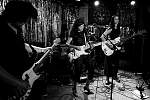 L1113704.JPG