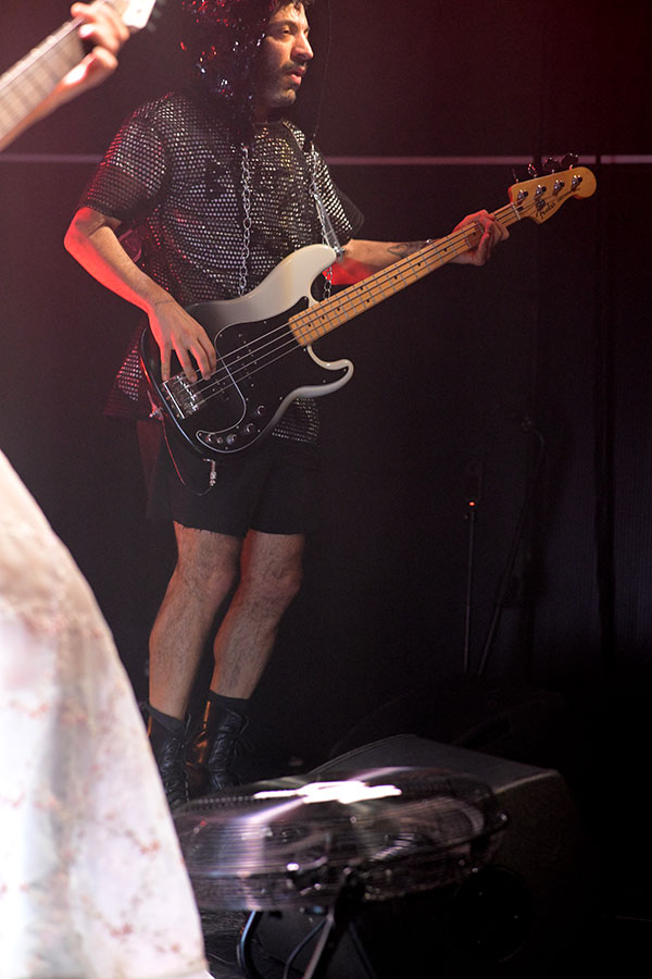 DSC_7337.JPG